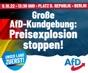 AfD, Alternative für Deutschland, Unser Land zuerst, Großdemo Berlin
